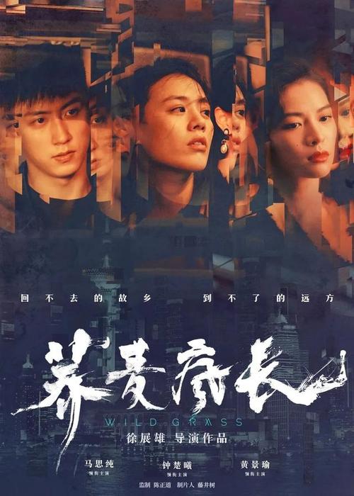 购买假的武术段位/证书